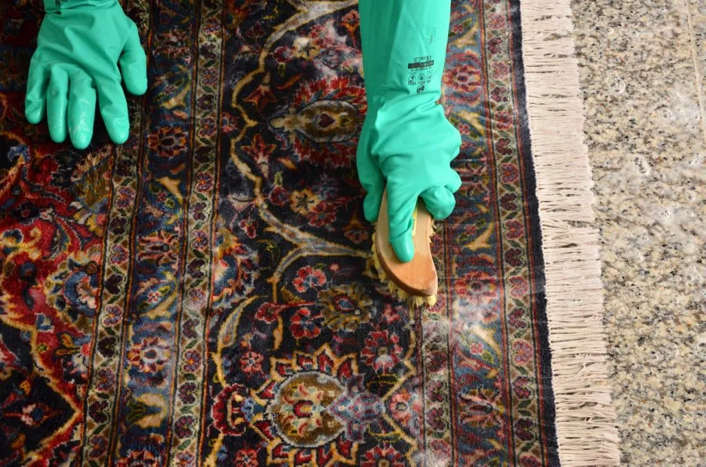 Can You Really Wash a Rug
