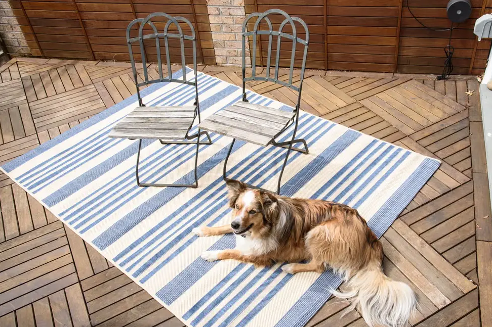 Why New Zealand Wool Makes All the Difference in Our Rugs