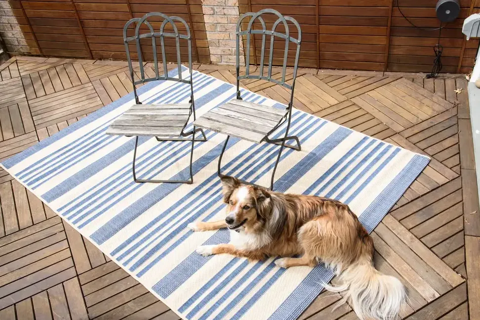 Why New Zealand Wool Makes All the Difference in Our Rugs